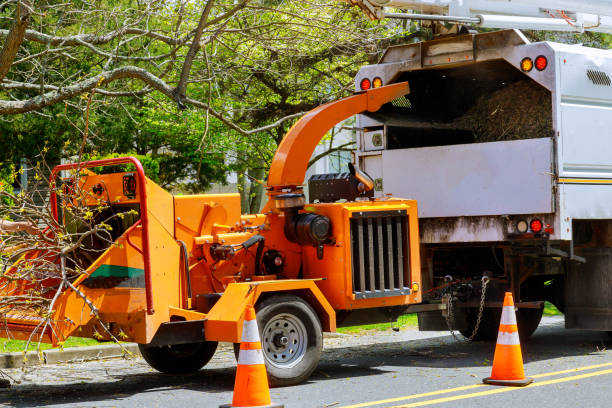 Best Utility Line Clearance  in Heritage Village, CT